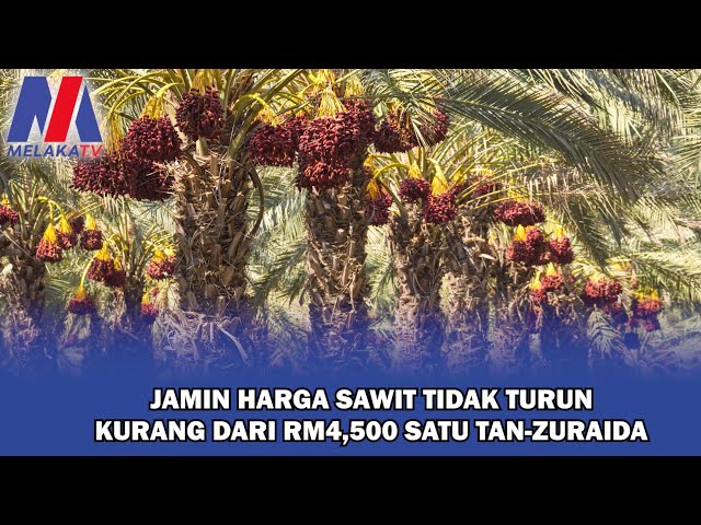 Jamin Harga Sawit Tak Turun Kurang RM4,500 Satu Tan