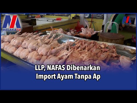 LLP, NAFAS Dibenarkan Import Ayam Tanpa AP