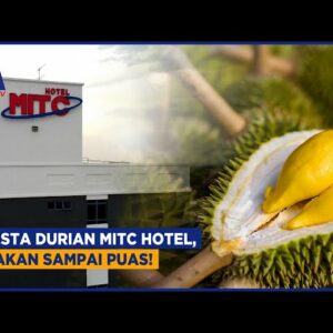 Pesta Durian Mitc Hotel, Makan Sampai Puas!