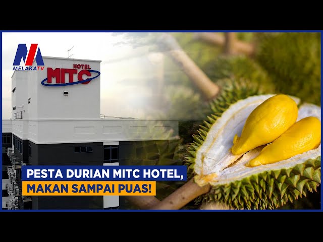 Pesta Durian MITC Hotel, Makan Sampai Puas!