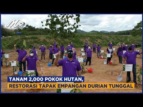 Tanam 2,000 Pokok Hutan, Restorasi Tapak Empangan Durian Tunggal