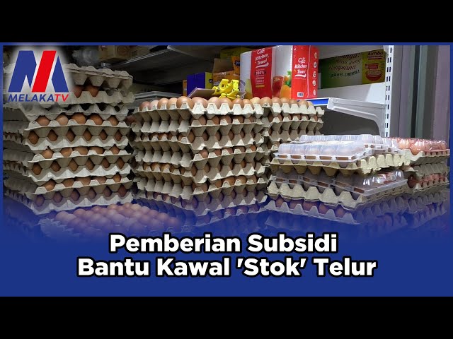 Pemberian Subsidi Bantu Kawal ‘Stok’ Telur