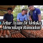 Telur Ayam Di Melaka Mencukupi Ramadan