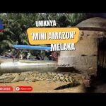 Uniknya ‘Mini Amazon’ Melaka