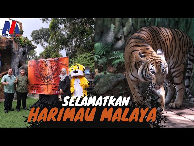 Selamatkan Harimau Malaya