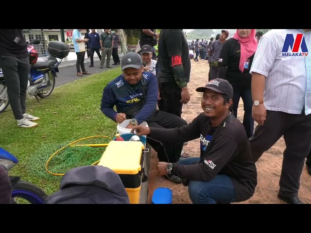 Lebih 800 Pemancing Ikan Air Tawar Berentap Di Sungai Melaka