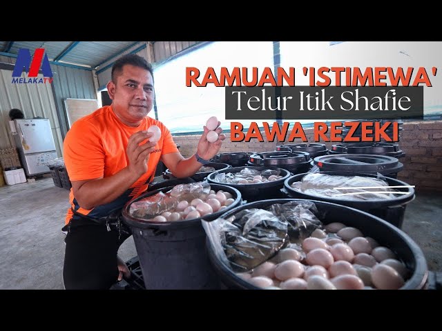 Ramuan ‘istimewa’ Telur Itik Shafie Bawa Rezeki