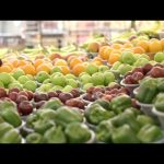 Aplikasi Melaka Agro Food Atasi Ketirisan