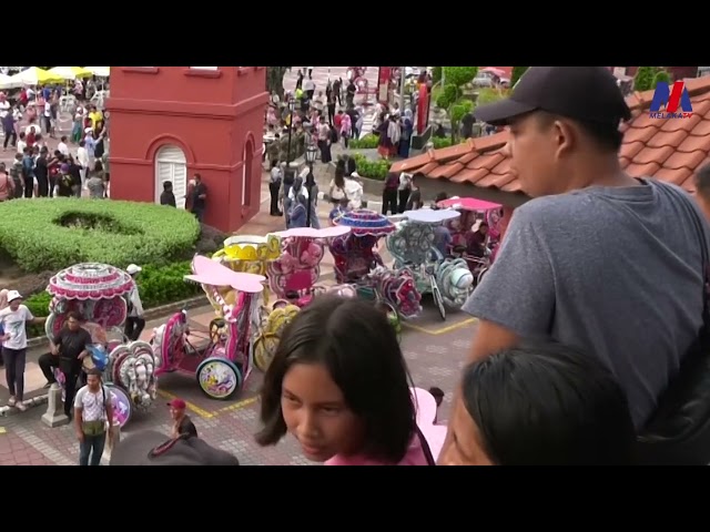 Undang Undang Kecil Selaras Perkhidmatan Beca