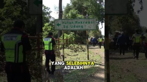 Tiada Kaitan Dengan Pembalakan Haram Di Laluan Hutan Simpan Sungai Udang