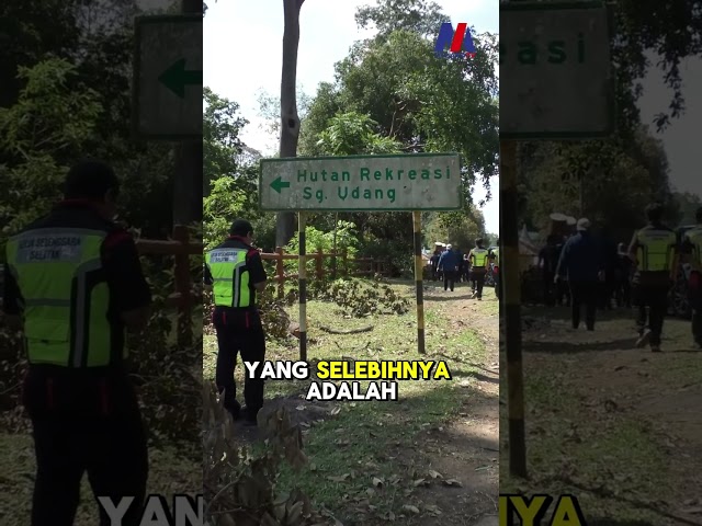 Tiada Kaitan Dengan Pembalakan Haram Di Laluan Hutan Simpan Sungai Udang