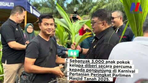 3,000 Anak Pokok Kelapa Diberi Percuma