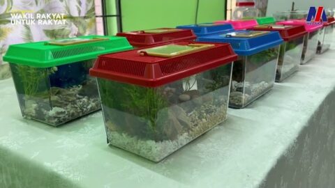 Wrur durian tunggal cipta peluang pelajar ppki dalami tvet